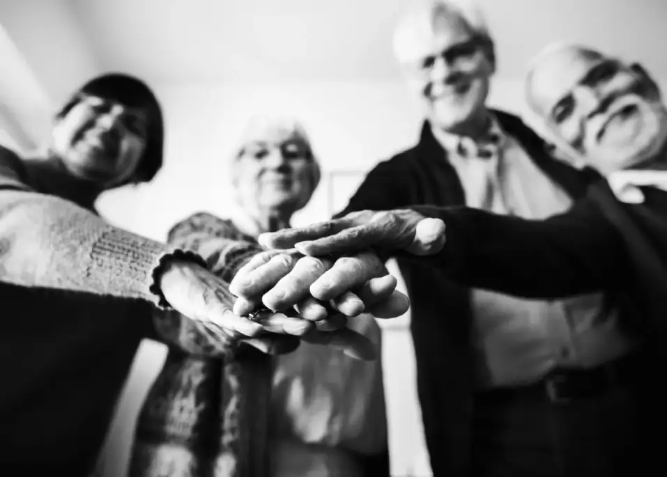 Elderly Group Project